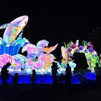 海をテーマにしたチャイナランタンエリア＝袖ケ浦市