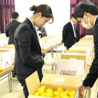 美味房総みかん真剣審査　安房の柑橘類７１点出品　県知事賞に佐久間さん