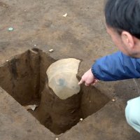 今回の調査で見つかった堀之内式土器。地表から５０センチほどの深さで確認された＝２７日、千葉市若葉区