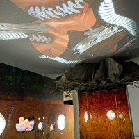 熱帯雨林の「土の中」をイメージし、土壌分解の様子を天井投影映像で体験できる。中央は樹木の根を再現