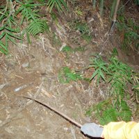 違法に仕掛けられたわな。鳥獣がよく通る傾斜地に巧妙に隠して設置されている＝９日、市原市寺谷
