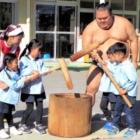 大きな声援「よいしょ」　園児、力士と“稽古”に感激　木更津　餅つき