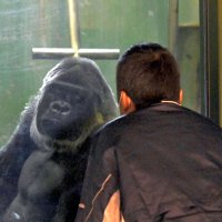 人混み苦手、でもきょうは…　貸切動物園　心ゆくまで　千葉市、障害ある子どもら招待