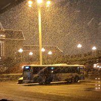 バス停留所付近で降るみぞれ=２日午後８時５分頃、浦安市