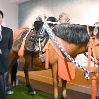 武士支えた小さき体　千葉市立郷土博物館　名産地の房総、幕府に献上　【房総うま物語】（２）