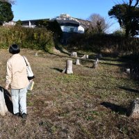 今も残る「とっこめ」　江戸期の軍馬生産支える　鎌ケ谷・下総小金中野牧跡　 【房総うま物語】（８）