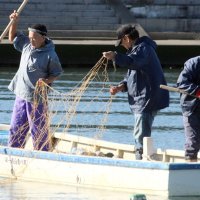 白子、養殖アオノリ復活へ　「正月の食文化もう一度」　大震災後、不作続く　南白亀川漁協