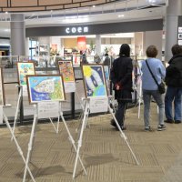 入賞作品２２点展示　ＮＴＴ児童画コンクール　イオンモール幕張新都心　１２日まで