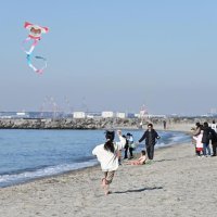 たこたこあがれ風よくうけて　いなげの浜親子ら新春行事楽しむ