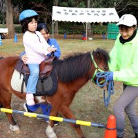 「馬のまち」掲げ振興　イベントで集客、郷土愛醸成　富里市と民間団体　【房総うま物語】（１４）