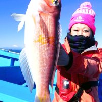 館山沖で釣り上げたアマダイ（写真は「真澄丸」提供）