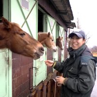 一体感と癒やし共有　乗馬や餌やり、触れ合い体験　富津マザー牧場　【房総うま物語】（１２）
