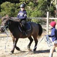 馬の力で発達支援　森の中に牧場、癒やしに　館山　ホースセラピーたてがみ　【房総うま物語】（１３）　