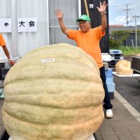 巨大カボチャで日本記録　野田市の測量会社社長　西山寛さん（７６）　【ひと模様】