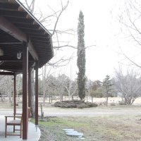 引退馬協会が本部を置く乗馬クラブの敷地
