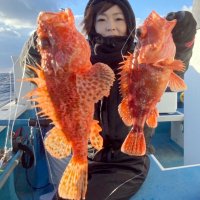 洲崎南、館山オニカサゴ好調　勝浦、平砂浦イカ狙える　【今週の釣果】