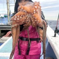 鹿島沖で釣り上げたマダコ（写真は「幸栄丸」提供）