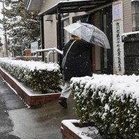 雪が降る中、投票所へ足を運ぶ有権者＝８日朝、市川市