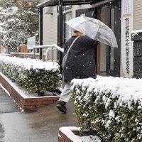投開票日に警報　房総大雪、転倒や事故２２人負傷　千葉市４年ぶり積雪５センチ