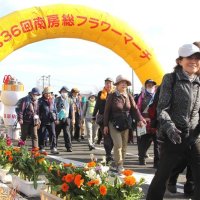花々と潮風満喫　南房総フラワーマーチ１０００人超