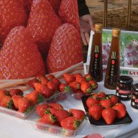 若手生産者自慢の完熟イチゴと加工品
