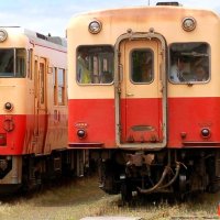 【速報】小湊鉄道が終日運休　上総牛久―上総中野間　雪による倒木影響