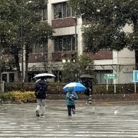 雪が降る中、傘を手に移動する人たち＝７日、千葉市中央区