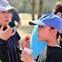 イチゴを味わう親子＝２月２８日、千葉市若葉区