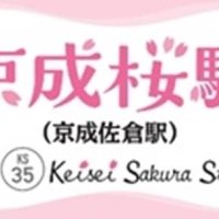 佐倉⇨桜で名所ＰＲ　７日から多彩イベントも