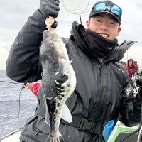 富浦沖で釣り上げたトラフグ（写真は「萬栄丸」提供）