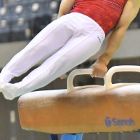 体操　全国高校選抜大会