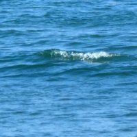船橋漁港から出港の男性行方不明　浦安沖にエンジンかかった無人漁船、転落か　捜索続く
