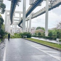 倒木でふさがれた千葉市内の道路＝１０日午後０時半ごろ