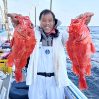 太東メヌケ好釣　木更津、保田アジ狙える　【今週の釣果】