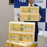 千葉県産ナシ価値向上へ　ブランドデザイン決定　贈答箱や販促品に活用