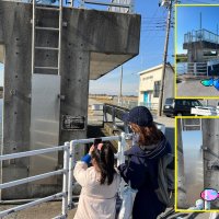 水門点検で魚ゲット！　大阪の企業、香取で開催　実証実験兼ねた催し高評価　写真を整備に活用