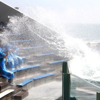 シャチ豪快水しぶき、新入社員を祝福　鴨川シーワールド