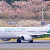 成田空港染める桜