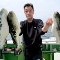 富浦トラフグ好釣　保田６・６キロマダイゲット　【今週の釣果】