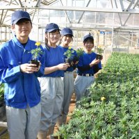 花の苗を担当する生徒たち