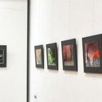 多彩な瞬間捉えた４６点　１９日まで佐倉写真連盟展