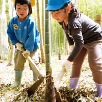 タケノコ掘り体験を楽しむ園児＝大多喜町