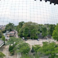 中山法華経寺の五重塔の上部から望む境内や市川の街。条件が良ければ東京スカイツリーの姿も（許可を得て撮影）＝２１日、市川市