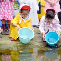 アユ稚魚放流　成長願い養老川へ　市原釣り名所、環境保全に