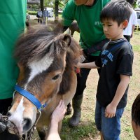 馬の手入れを体験できるブースも設置された