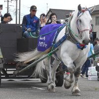 来場者の人気を集めたばん馬の馬車＝４日、富里市