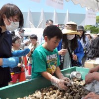 アサリすくいにチャレンジする子どもたち（昨年の「五井臨海まつり」）＝市原市岩崎の市原緑地運動公園
