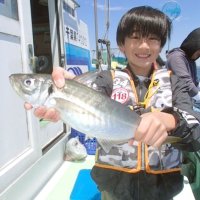 保田沖で釣り上げた大アジ（写真は「村井丸」提供）
