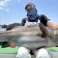 洲崎南沖で釣り上げたイシナギ（写真は「萬栄丸」提供）