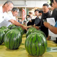 出荷する際の統一基準を確認する生産者ら＝８日、富里市